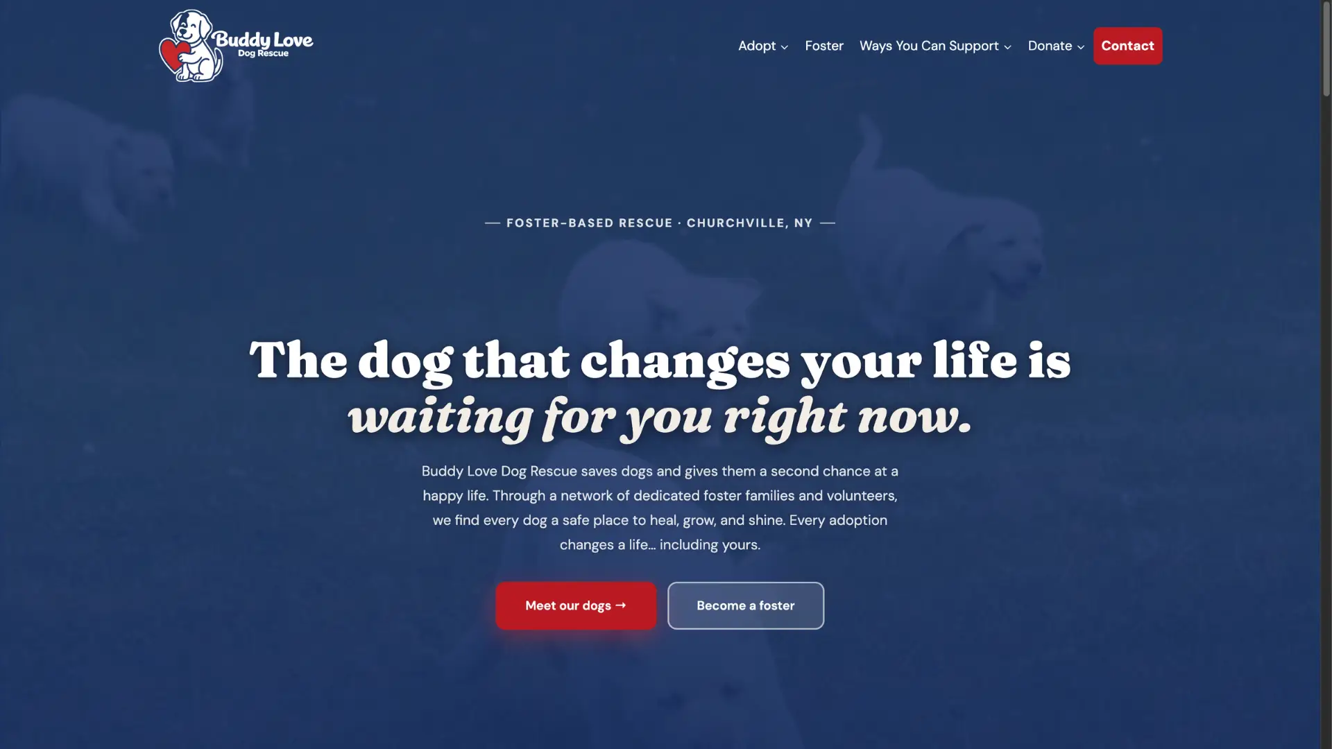 Buddy Love Dog Rescue website