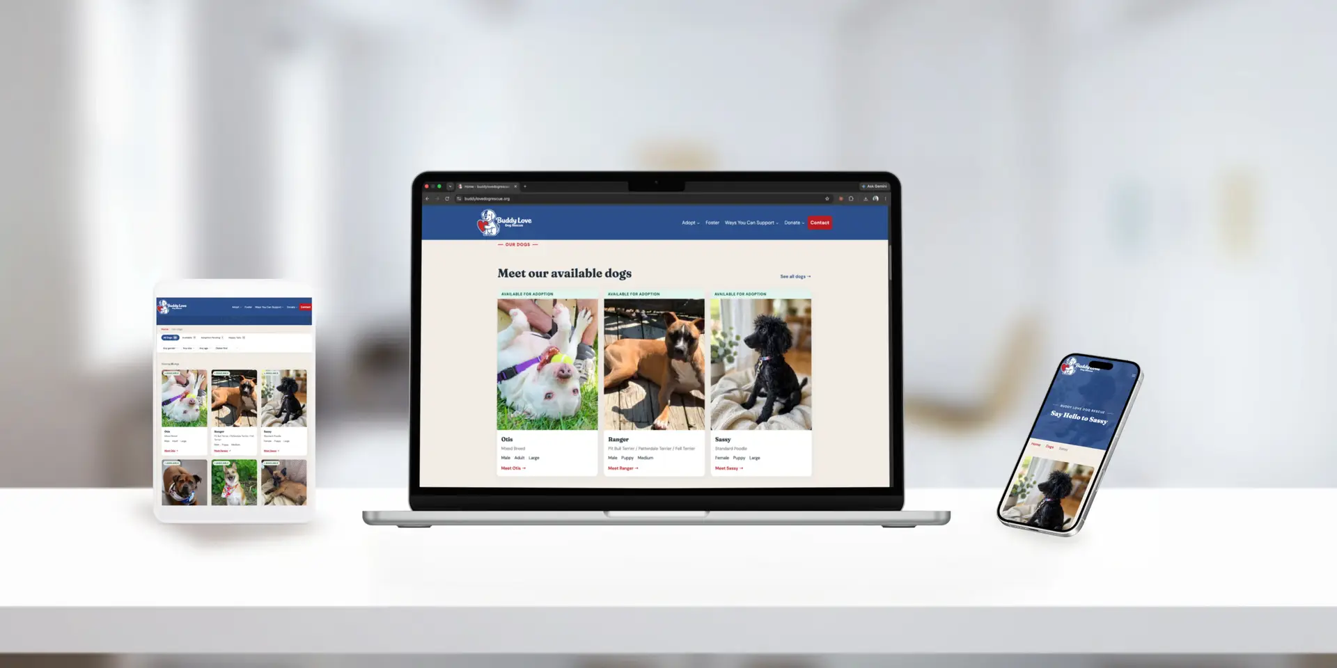 Website Design & Development